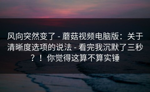 风向突然变了 - 蘑菇视频电脑版：关于清晰度选项的说法 - 看完我沉默了三秒？！你觉得这算不算实锤