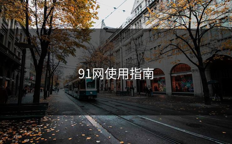 91网使用指南